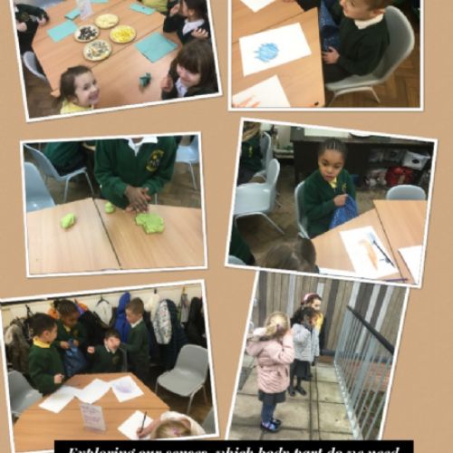 Year 1 Willow Photo